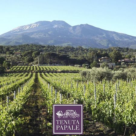Tuttifrutti Holiday Acireale Kültér fotó