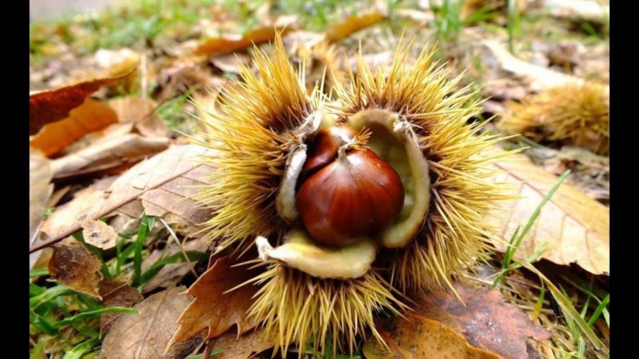 Tuttifrutti Holiday Acireale Kültér fotó